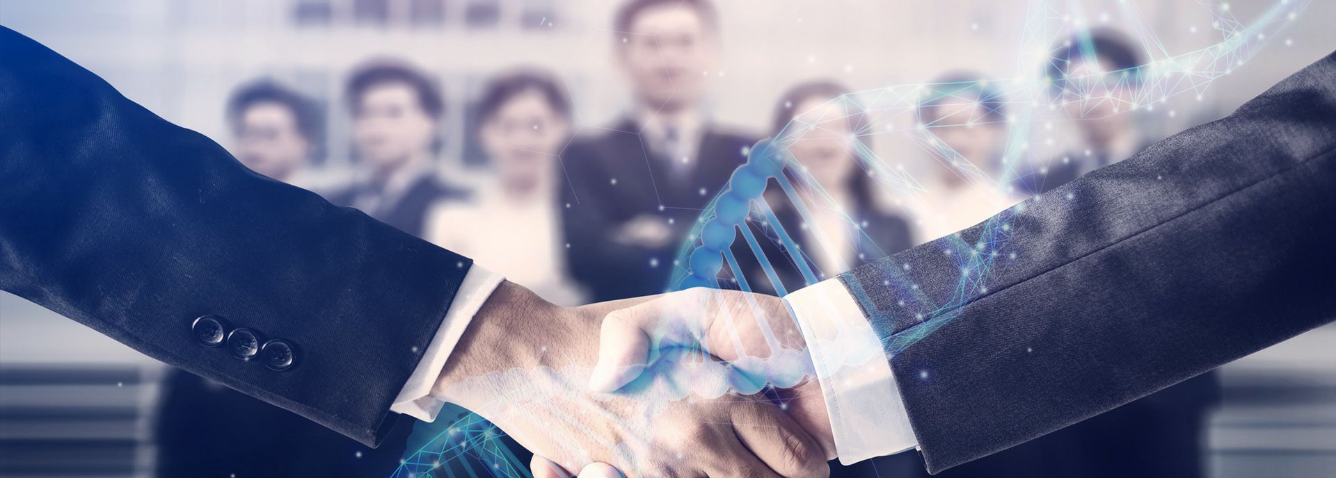 开云手机官方网站-开云(中国)